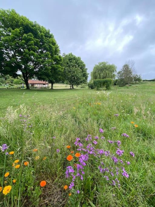 Moulins-le-Carbonnel Spacious Country House In Normandieヴィラ エクステリア 写真