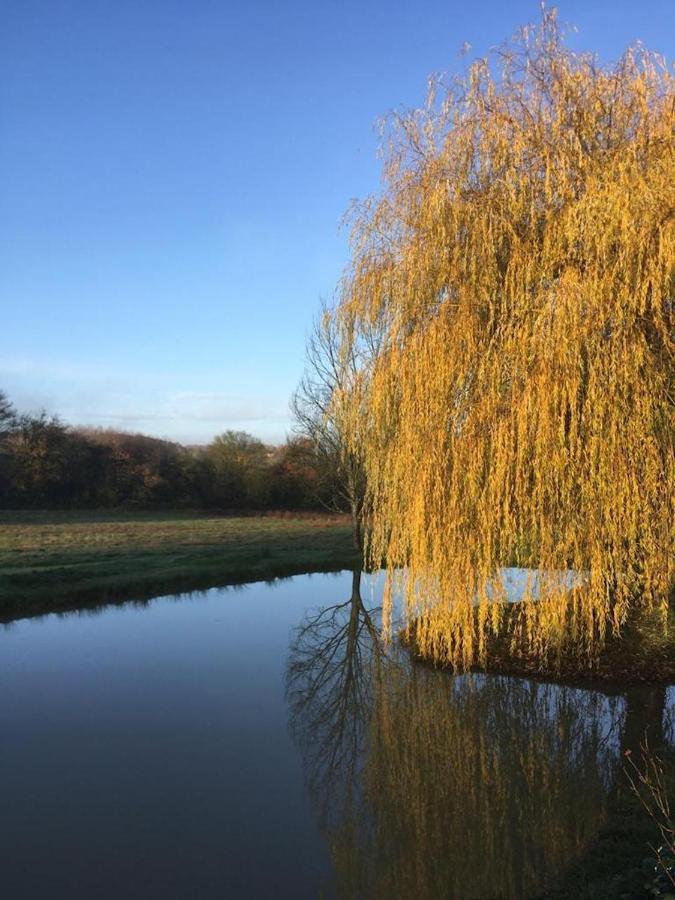 Moulins-le-Carbonnel Spacious Country House In Normandieヴィラ エクステリア 写真